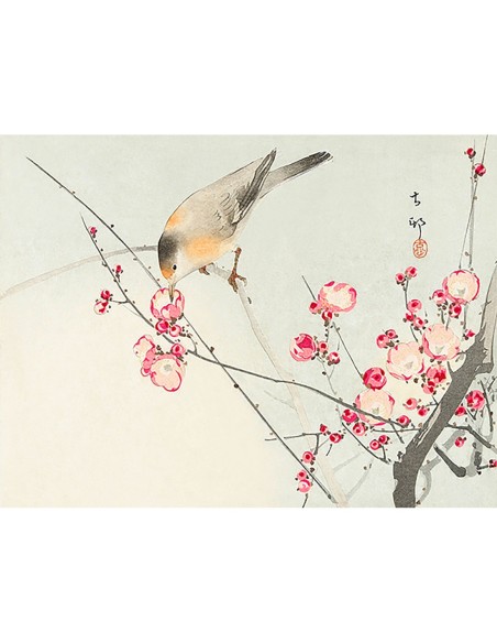 Pájaro cantor en una rama en flor