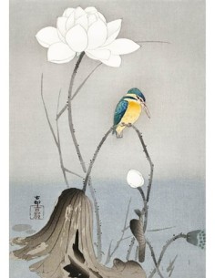 Martín pescador con flor de loto