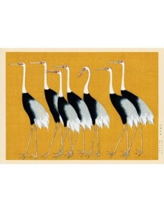 Bandada de grullas de corona roja japonesas