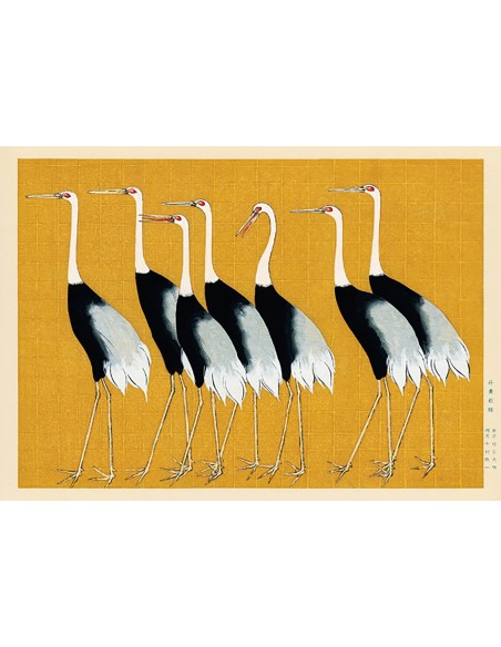 Bandada de grullas de corona roja japonesas