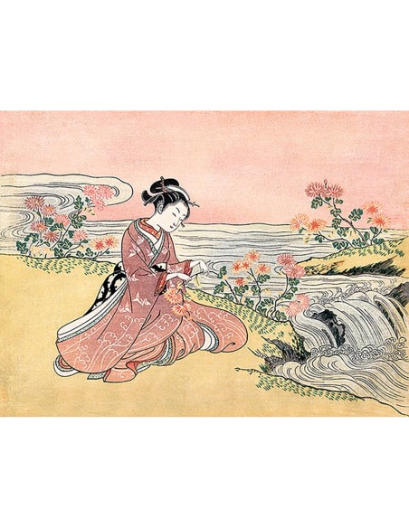 Mujer japonesa recogiendo crisantemos