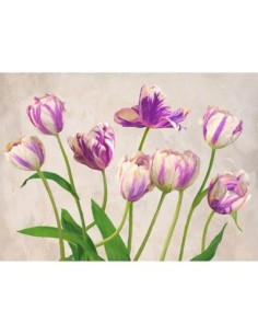 Tulipanes
