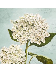 Hortensias II (Aqua)