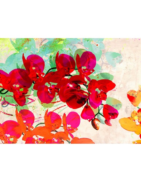 Sueños de orquídeas