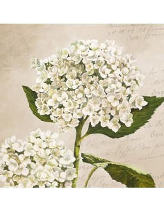 Hortensias II (Neutral)