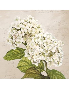 Hortensias III (Neutral)