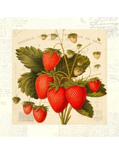 fresas