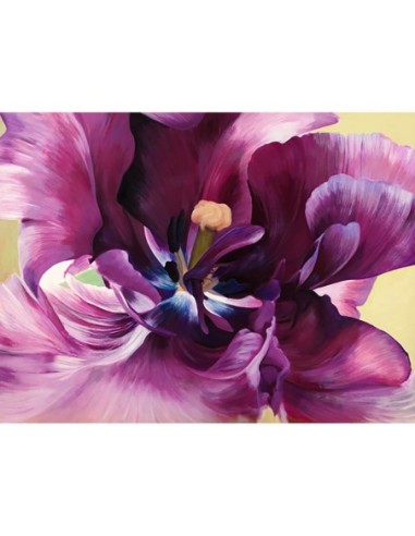 Primer plano de un tulipán morado