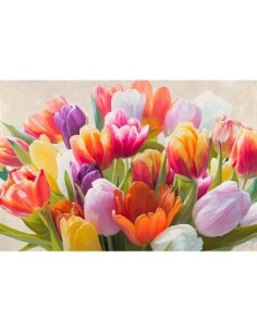 Tulipanes de primavera