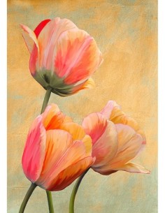 Tulipanes dorados I