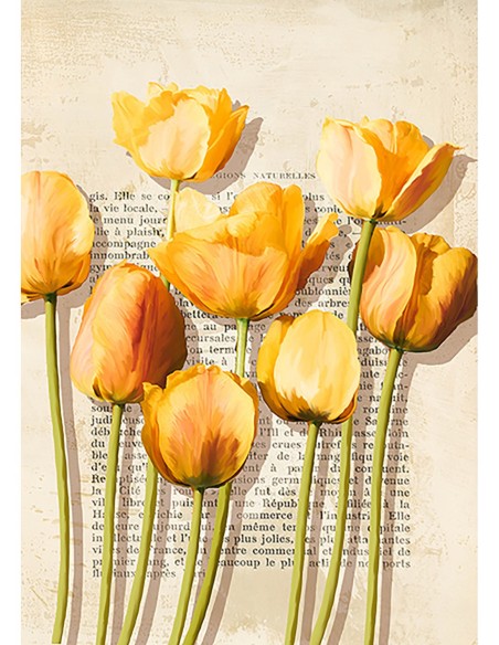 Tulipanes e historias