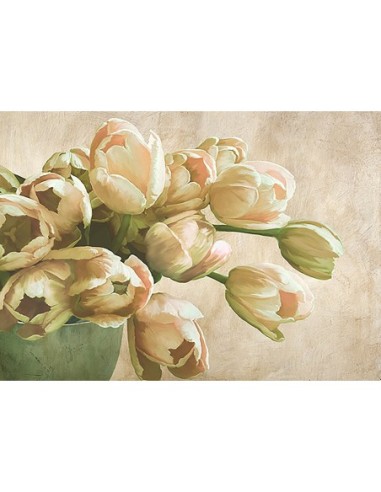 Tulipanes modernos