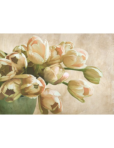 Tulipanes modernos