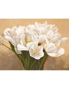 Tulipanes blancos