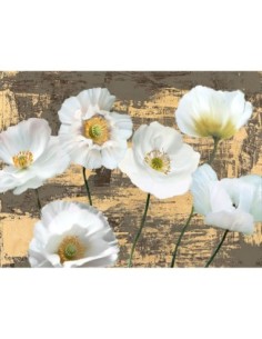 Amapolas lavadas (ceniza y oro)