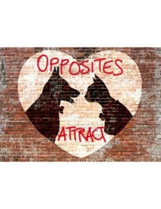 Los opuestos se atraen