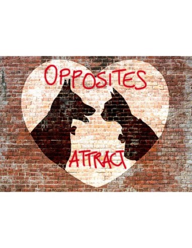 Los opuestos se atraen