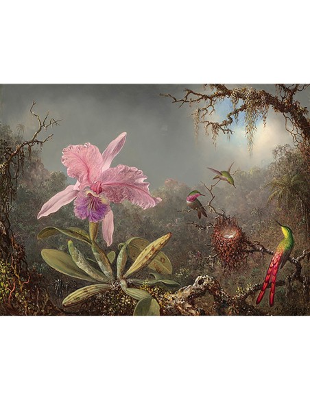 Orquídea Cattleya y tres colibríes