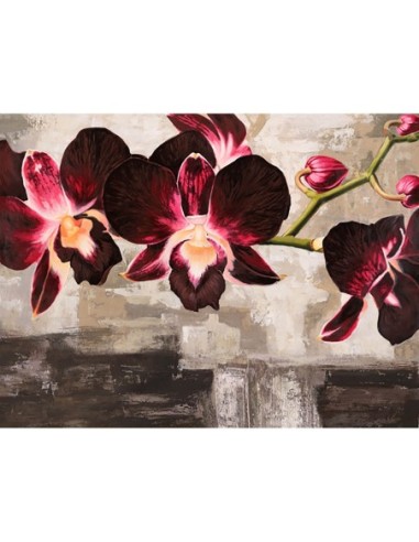 Orquídeas de terciopelo