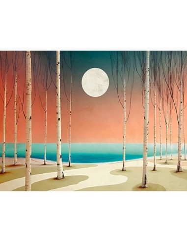 Calma a la luz de la luna