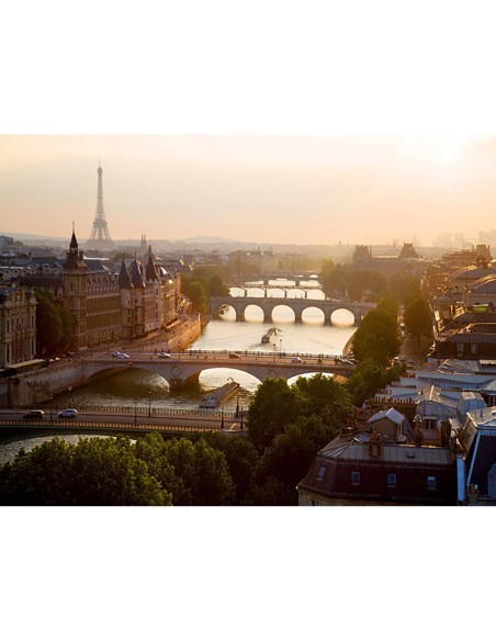 Puentes sobre el río Sena, París