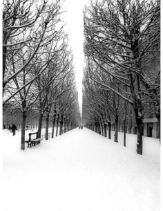 El Jardín de las Tullerías bajo la nieve, París