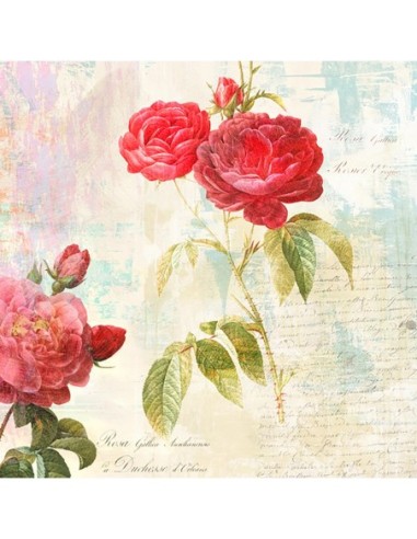 Las Rosas de Redouté 2.0  II