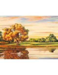 Reflejos en el lago (detalle)