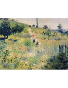 El camino a través de la hierba alta