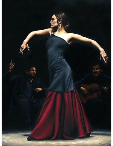 Encantado por el flamenco
