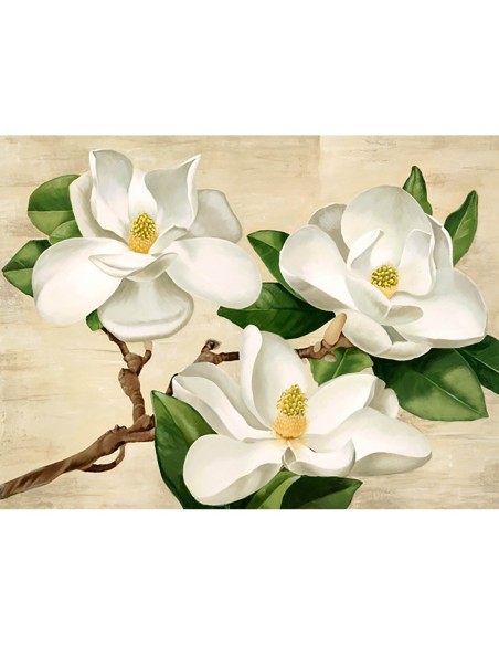 Magnolias blancas