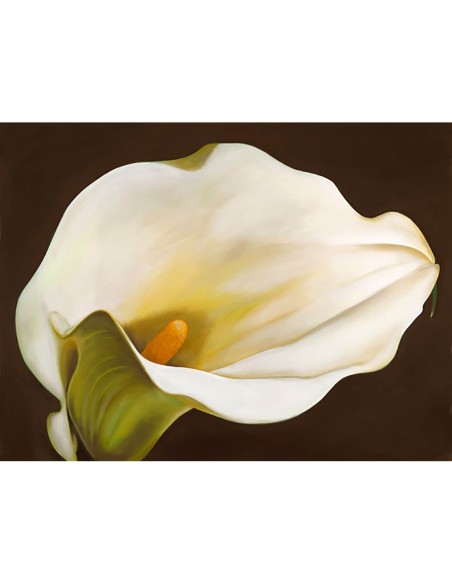 Calla