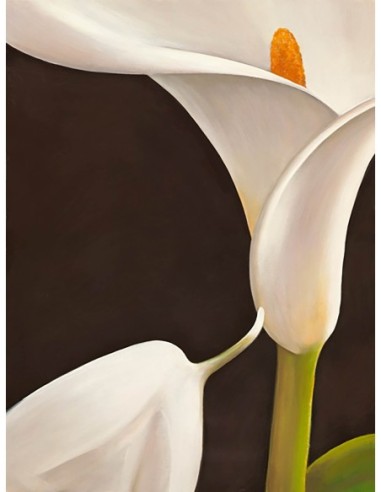 Calla moderna I