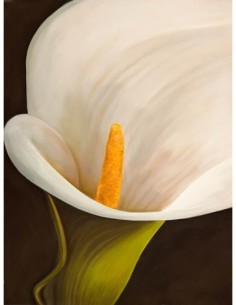 Modern Calla II