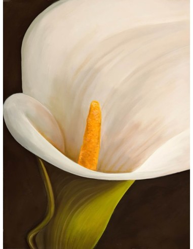 Modern Calla II