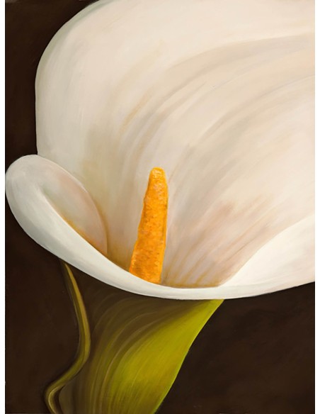 Modern Calla II
