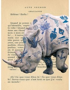 Savannah tatuada III