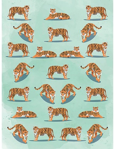 Patrón de vida silvestre II