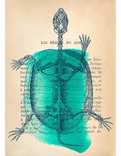 Recuerdos de lo salvaje I