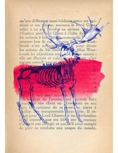 Recuerdos de lo salvaje III