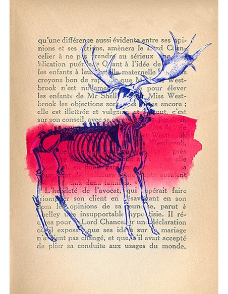 Recuerdos de lo salvaje III