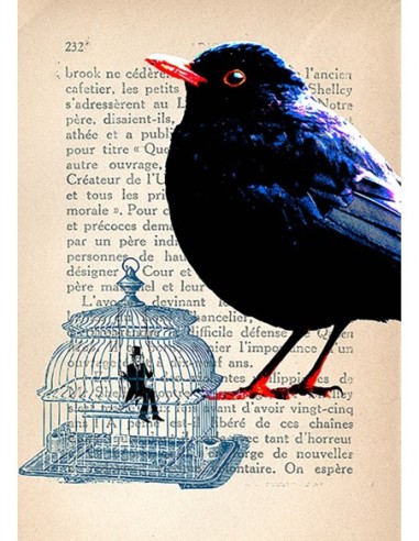 Jaula para el hombre