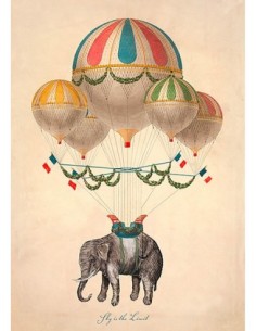 El cielo es el límite