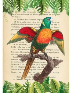 El loro de cabeza azul, según Levaillant