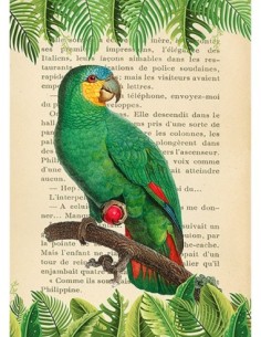 La amazona de alas anaranjadas, según Levaillant