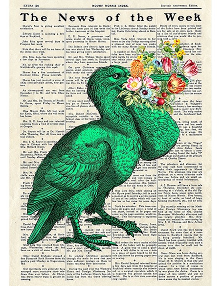 Una grata sorpresa I