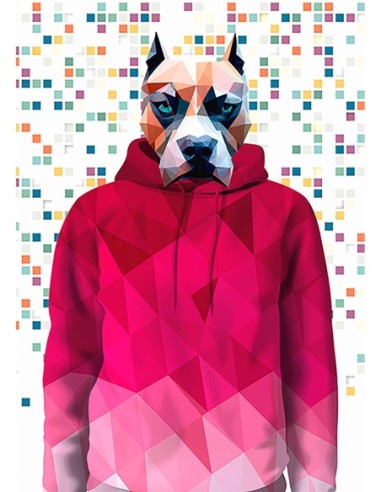 Héroe de la clase de gimnasia