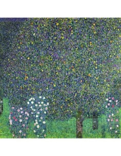 Rosas bajo los árboles