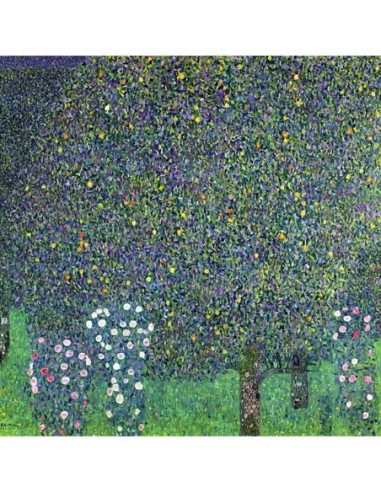 Rosas bajo los árboles