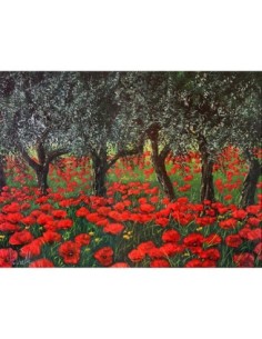 Amapolas bajo los olivos